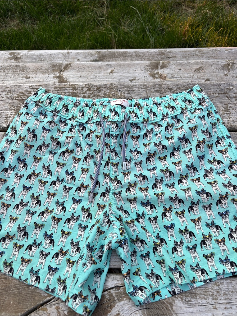 Public Beach aqua swim trunks with French Bulldog Boston Terrier Print size M